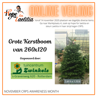 Online veiling: Kerstboom van Tuincentrum Zwinkels Online veiling: Kerstboom van Tuincentrum Zwinkels
