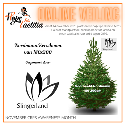 Online veiling: Kerstboom van Slingerland Bloemen Online veiling: Kerstboom van Slingerland Bloemen